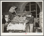 Truckload of carrots and onions, early morning market. San Antonio, Texas