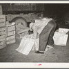 Peddler lining crates with newspapers before packing them with vegetables. San Antonio, Texas