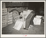 Peddler lining crates with newspapers before packing them with vegetables. San Antonio, Texas