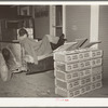 Tomato peddler asleep in back of his truck at early morning vegetable market. San Antonio, Texas