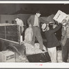 Unloading fruit and vegetables from truck at wholesale house. San Antonio, Texas