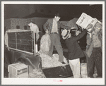 Unloading fruit and vegetables from truck at wholesale house. San Antonio, Texas
