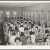 Mexican women pecan shellers at work. Union plant. San Antonio, Texas