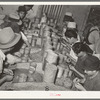 Mexican pecan shellers removing meats from shell. Union plant. San Antonio, Texas