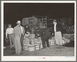 Early morning vegetable market. San Antonio, Texas