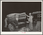 Setting up the scales on a vegetable truck at the early morning market. San Antonio, Texas