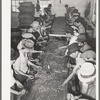 Mexican pecan shellers cracking nuts. Union plant. San Antonio, Texas