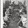 Mexican pecan shellers cracking nuts. Union plant. San Antonio, Texas