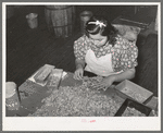 Classifying pecan meats. Pecan shelling plant. San Antonio, Texas