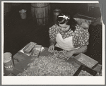 Classifying pecan meats. Pecan shelling plant. San Antonio, Texas