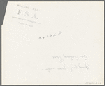 Classifying pecan meats. Pecan shelling plant. San Antonio, Texas