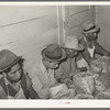 Separating meats from shells. Pecan shelling plant. San Antonio, Texas