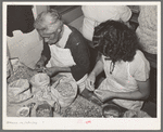 Removing the meats from cracked pecans. Non-union pecan shelling plant. San Antonio, Texas