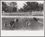 Swimming pool, Caldwell, Idaho