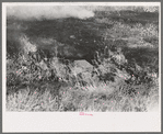 Grass fire, Vale, Oregon