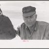 Harvest hand, wheat harvest, Walla Walla County, Washington