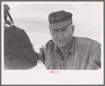 Harvest hand, wheat harvest, Walla Walla County, Washington