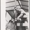 Pouring gasoline into combine engine, Walla Walla County, Washington