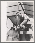 Pouring gasoline into combine engine, Walla Walla County, Washington