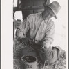 Harvest hand on combine, Walla Walla County, Washington