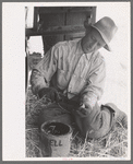 Harvest hand on combine, Walla Walla County, Washington