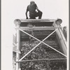 Detail of cleaning apparatus on portable-type mechanical hop picker, Yakima Chief Hop Ranch, Yakima County, Washington