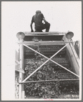 Detail of cleaning apparatus on portable-type mechanical hop picker, Yakima Chief Hop Ranch, Yakima County, Washington