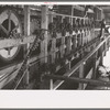 Machinery used in stationary-type mechanical hop picker, Yakima County, Washington