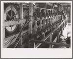 Machinery used in stationary-type mechanical hop picker, Yakima County, Washington