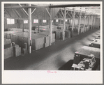 Cases of canned salmon in warehouse, Astoria, Oregon