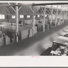 Cases of canned salmon in warehouse, Astoria, Oregon
