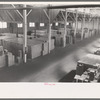 Cases of canned salmon in warehouse, Astoria, Oregon