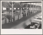 Cases of canned salmon in warehouse, Astoria, Oregon