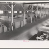 Cases of canned salmon in warehouse, Astoria, Oregon
