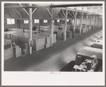 Cases of canned salmon in warehouse, Astoria, Oregon