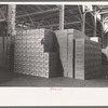 Cases of canned salmon in warehouse, Astoria, Oregon