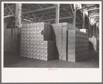 Cases of canned salmon in warehouse, Astoria, Oregon