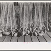 Nets with floats, Astoria, Oregon