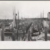 Fishing boats, Astoria, Oregon
