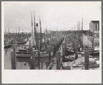 Fishing boats, Astoria, Oregon