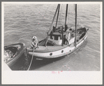 Fishing boat tied up at docks of the Columbia River Packing Association, Astoria, Oregon