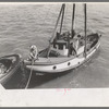 Fishing boat tied up at docks of the Columbia River Packing Association, Astoria, Oregon