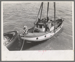 Fishing boat tied up at docks of the Columbia River Packing Association, Astoria, Oregon