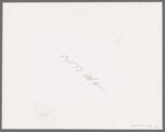 Holdings of the Long Bell Lumber Company, Cowlitz County, Washington. Notice the tall ferns; the constant dripping moisture in the forests of this section have earned them the name "the rain forests."