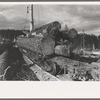 Logs on flatcar, Long Bell Lumber Company, Cowlitz County, Washington