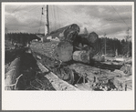 Logs on flatcar, Long Bell Lumber Company, Cowlitz County, Washington