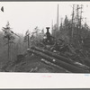 The donkey engine transporting of logs from woods to yard, Long Bell Lumber Company, Cowlitz County, Washington