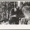 Head faller sights to see exact direction in which tree will fall, Long Bell Lumber Company, Cowlitz County, Washington