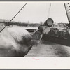 Rolling logs from truck to pond, Tillamook, Oregon