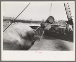 Rolling logs from truck to pond, Tillamook, Oregon